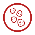 Daily Capsule Badge